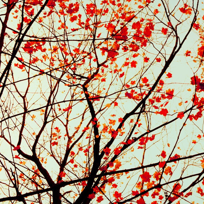 30% OFF Photography Autumn decor red leaves Canadian maple leaf abstract rustic woodland red and green art fall forest - A Smattering 8x8