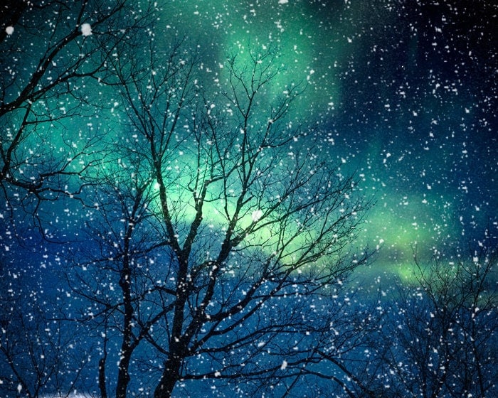 Snow Night Photography