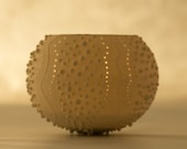 Porcelain Tea light Delight. Candle Holder N.2. Ceramic urchin. Designed and crafted by Wapa Studio.