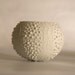 Porcelain Tea light Delight. Candle Holder N.2. Ceramic urchin. Designed and crafted by Wapa Studio.