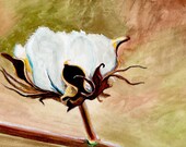 fluffy COTTON boll ORIGINAL watercolor painting by Redstreake