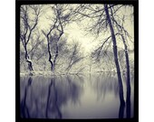 Winter Morning