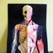 Vintage Anatomy Chart / Halloween / Medical School Life Size