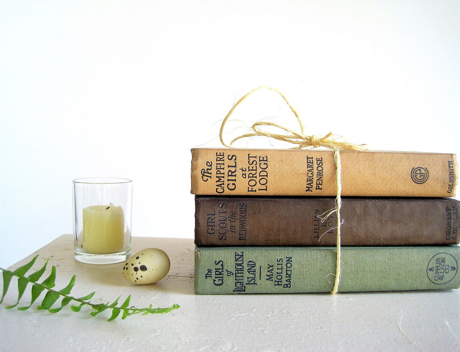 RESERVED FOR C. Until FRIDAY Morning Instant Collection Vintage Outdoor Adventure Novels