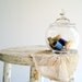Vintage Apothecary Jar / Desk Accessory / Home Office, Kitchen