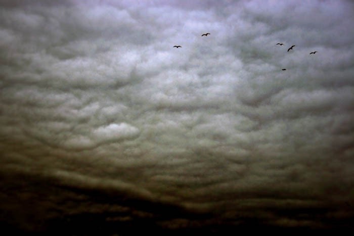 Halloween Clouds