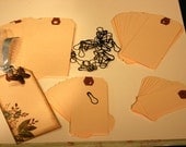 40 manila shipping hang tags for scrapbooking 4 sizes and 40 "vintage" garment pins to hang charms