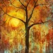 Art Print Red Love Birds in a Tree Sunshine Signed 8X10