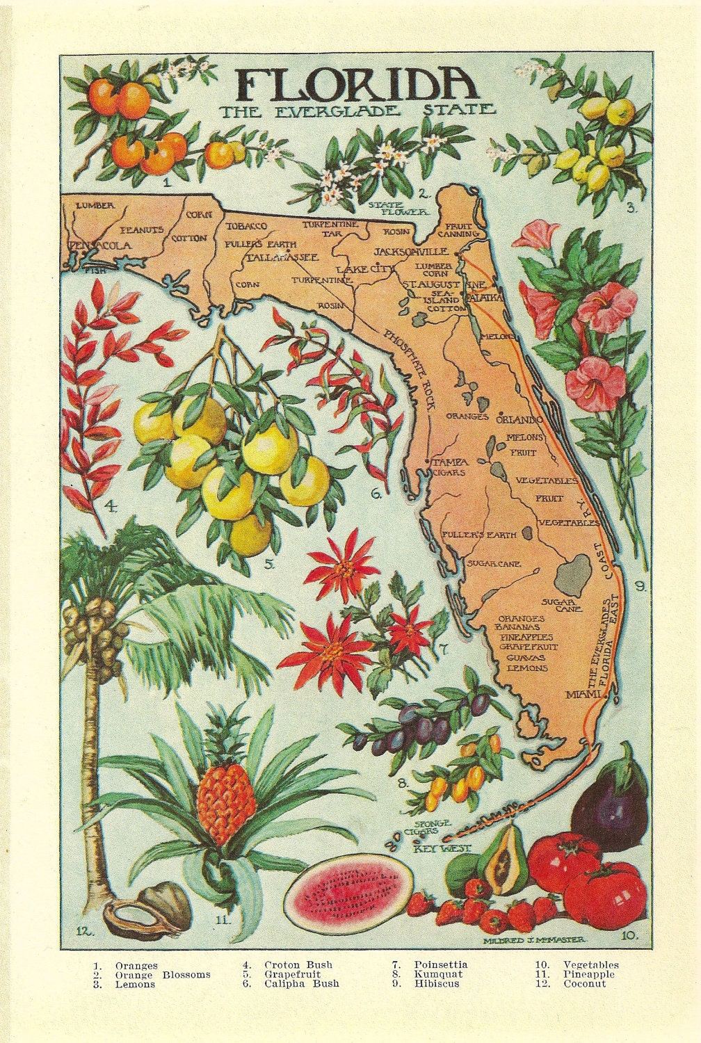 1912 vintage FLORIDA illustrated map  - colorful and lovely