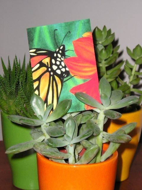 Monarch Butterfly ACEO Limited Edition of 30 prints