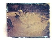 Photography Polaroid Skate Park  Skateboard Graffiti Vintage Art 4x5 Print