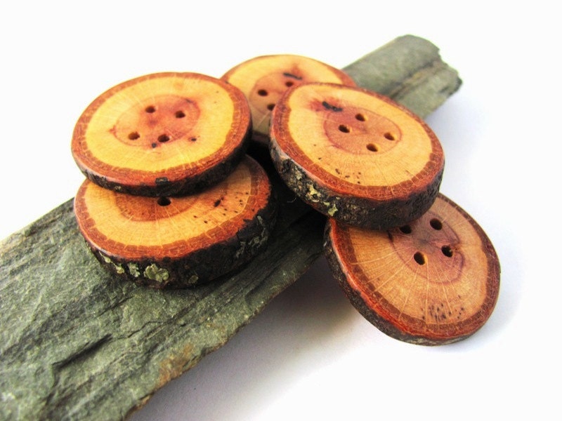 Wood Buttons Reclaimed Branch Wood Set of 5 at Hendywood