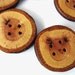 Wood Buttons Reclaimed Branch Wood Set of 5 at Hendywood
