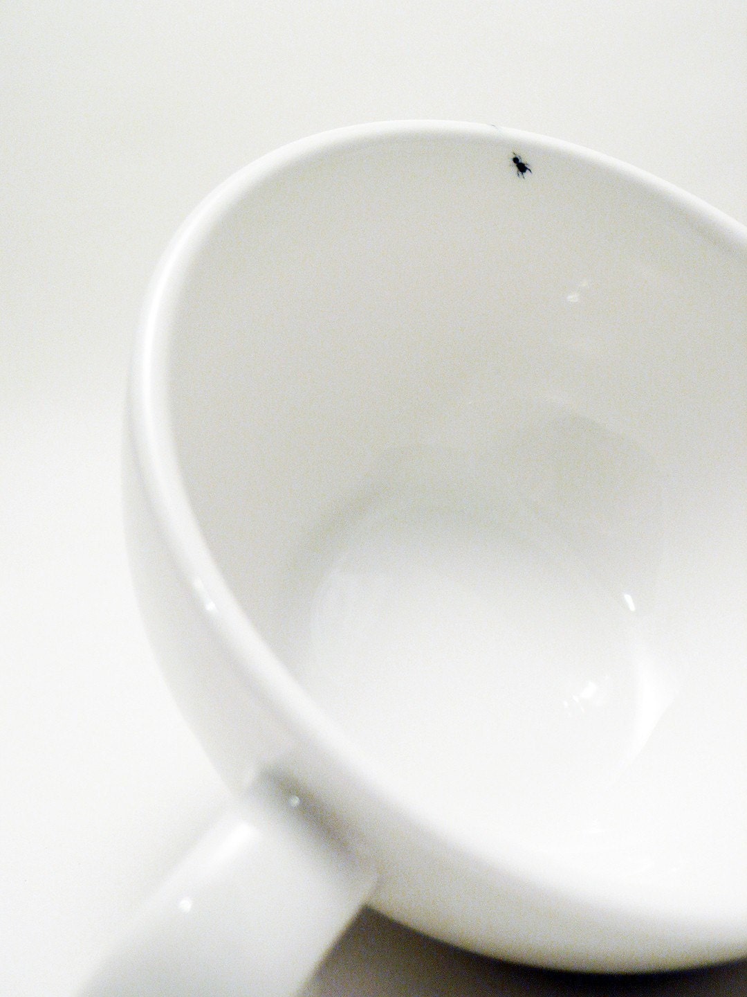 Ants On My Cup and Saucer