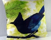 Cushion cover bird - Steller's Jay 16x16 inch 40x40cm for throw pillow or accent pillow