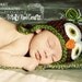 Infant Owl hat Brown Green Blue Perfect for baby gift or Photography Prop Newborn 3 6 9 or 12 months