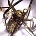 Steampunk - Sculpture - Robotic Cephalopod