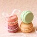 Dessert Jewelry - French Macaron Ring (Colors of Flowers Series) - Gift Under 25