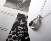 Colony Collapse Real Bee Necklace, Small Silver Tear Drop