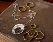 Real Bee Hexagon Necklace, Silver Colony Collapse Jewelry
