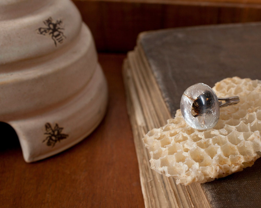 Round Real Bee Ring in Silver, Colony Collapse Jewelry