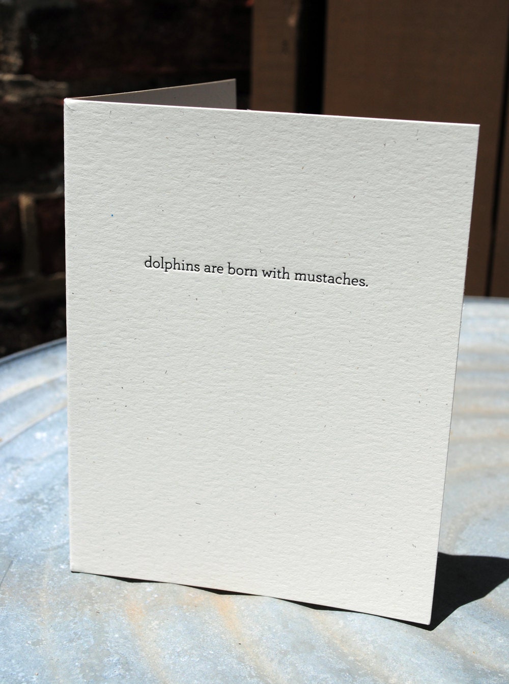 dolphins are born with mustaches. (good thing you weren't.) letterpress printed card.