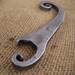Lizard Tail Bottle Opener