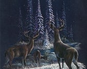 Vintage Illustration - Deer in the Snow