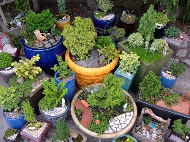Start Your Own Miniature Garden Business, Expert Advice from Two Green Thumbs, Janit Calvo