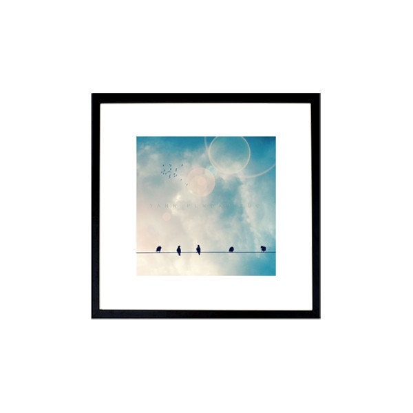 Animals photography, Nature photography, Home decor, French country home, Blue decor, Love birds, Bird, home decorating, 6X6 (15x15cm)