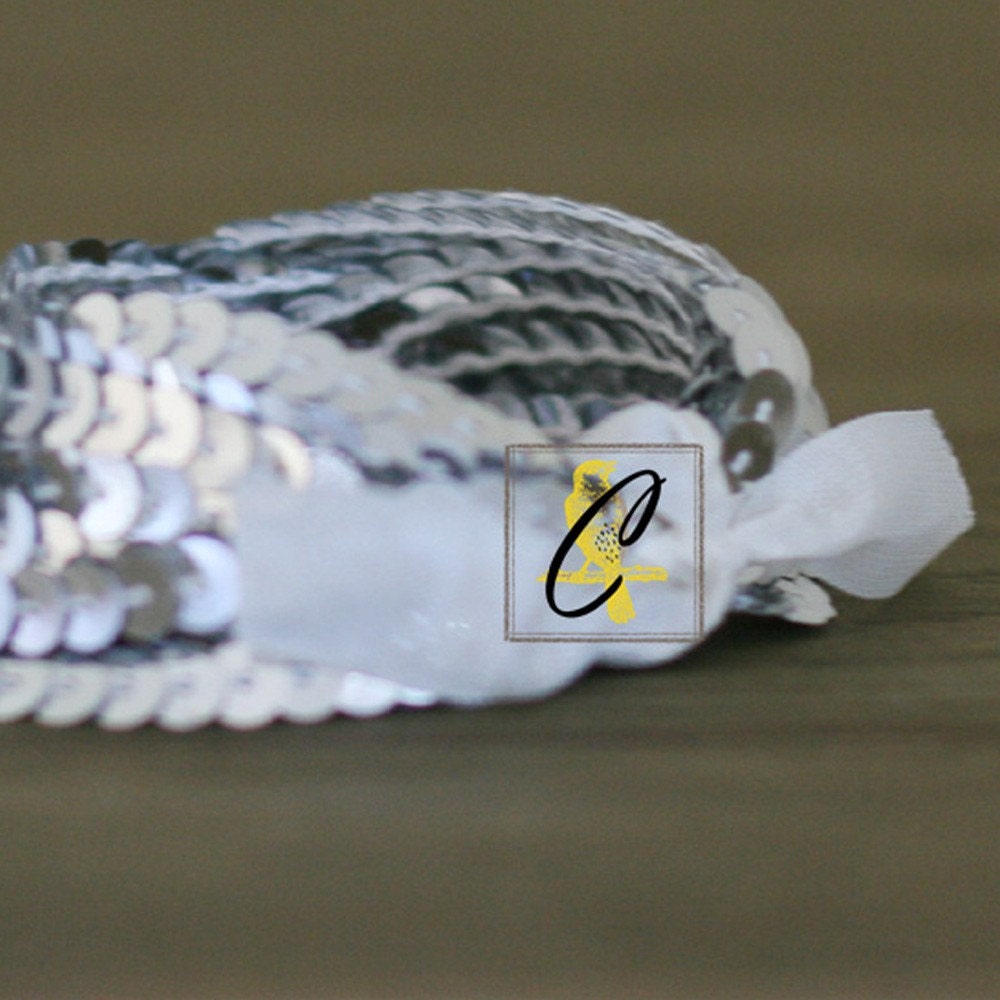 Silver Sequin Trim 4 yds