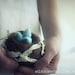 twig nest with eggs.  needle felted. made to order