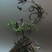 the cephalopod and the raven