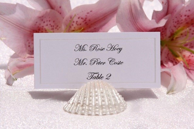 Pearlized  Arc shell place card holders- set of 50