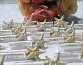 Message in a bottle Escort Cards (bottle is embellished with a starfish)- Set of 100