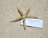 Gold White Finger Starfish Place Card Holders - Set of 100