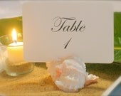 Assorted Natural Shell Table Number/Card  Holder- Set of 10