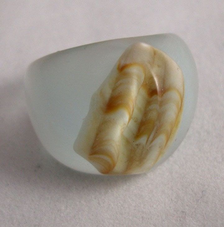 Seashell from the Sound Shore with wavy ridged dome Size 7.5