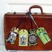 Sew these Luggage Tags Instant PDF Pattern