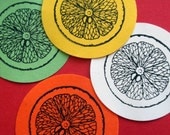 Citrus Slice Orange Lemon Lime Rubber Stamp  - Handmade rubber stamp by BlossomStamps