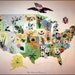 United States Map 100 Year Old Antique Vintage US State Flower Map