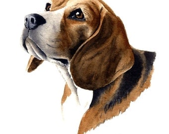 BEAGLE Dog Art Print Signed by Artist DJ Rogers