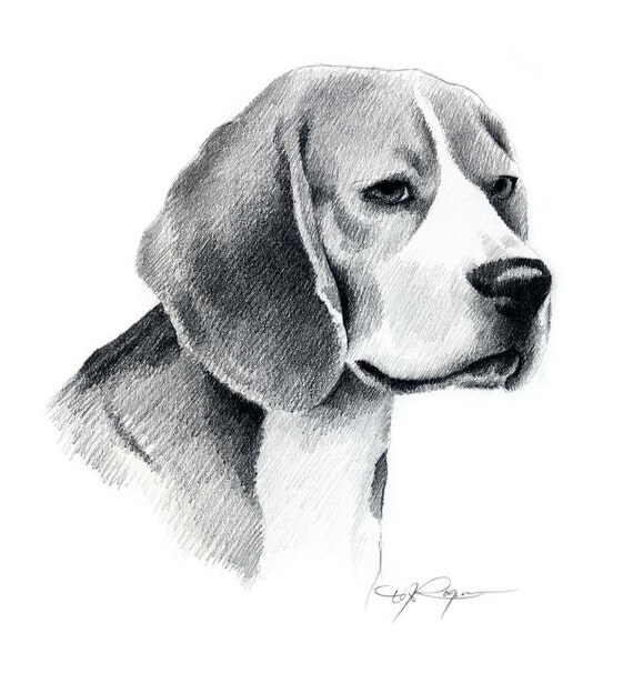 BEAGLE Dog Art Print Signed by Artist DJ Rogers by k9artgallery