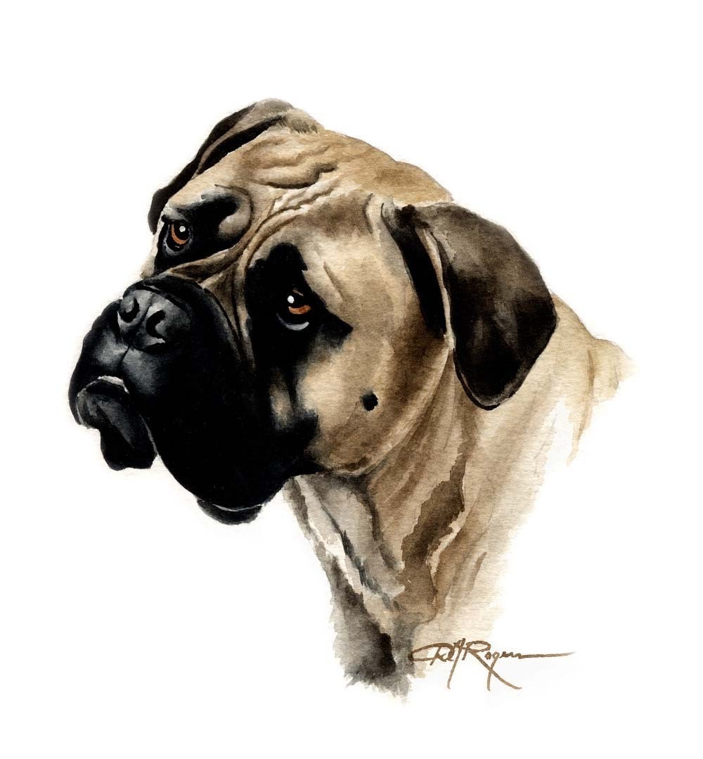 BULLMASTIFF Dog Art Print Signed by Artist DJ by k9artgallery