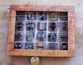 TAXONOMY - mixed media - original design