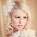 Bird Cage Blusher Veil with dual combs