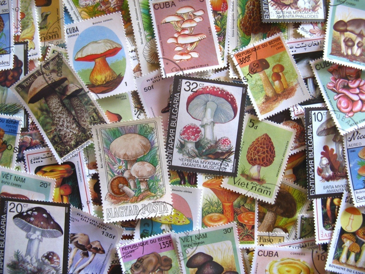 world postal ephemera - mushrooms