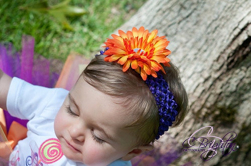 Headband Orange Gerber Daisy on Purple Crochet Headband Newborn Baby thru Toddler Photo Shoot Birthday Newborn Photo