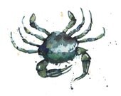CRAB Art Print 8x10