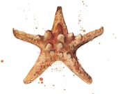BEACH Decor, kids decor, STARFISH Print, starfish, beach house art print, for the mermaid in you